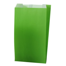 Seitenfaltenbeutel Papier uni grün 120+45x200 mm, R17023X, Gr. XS