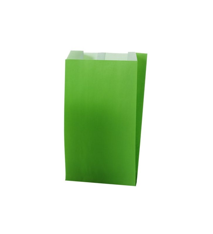 Seitenfaltenbeutel Papier uni grün 120+45x200 mm, R17023X, Gr. XS