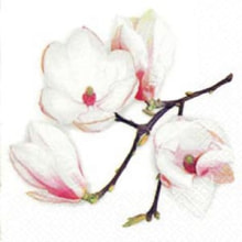 267803 Ti Flair Serviette