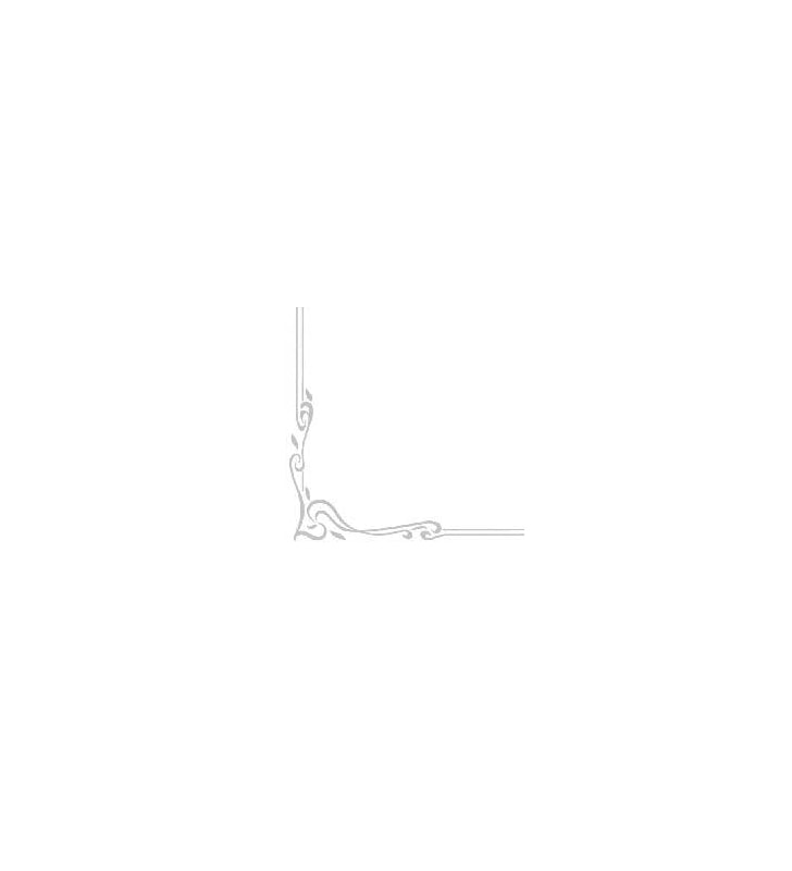 Servietten Airlaid Colour silber 40x40 cm 1/4 Falz Servietten Airlaid Colour silber 40x40 cm 1/4 Falz