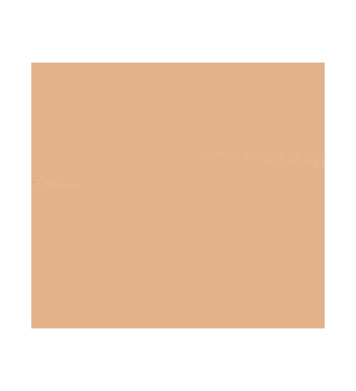 Servietten Papier 33 cm 1/4 Falz apricot