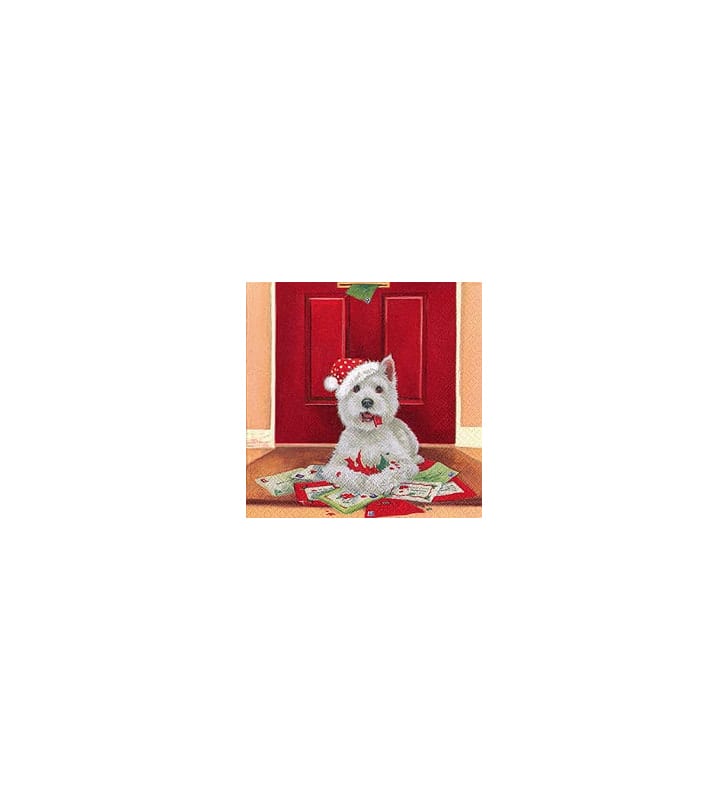 311142 Ti Flair Serviette 311142 Ti Flair Serviette