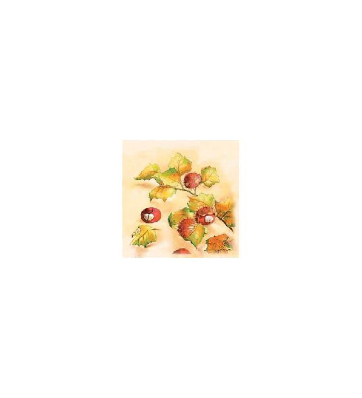 Servietten Airlaid Kastanie 40x40 cm 1/4 Falz Servietten Airlaid Kastanie 40x40 cm 1/4 Falz