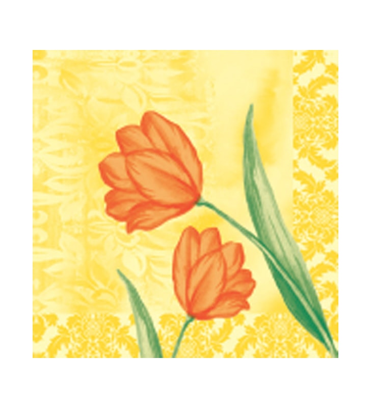 Servietten Airlaid Sally gelb/orange 40x40 cm 1/4 Falz Servietten Airlaid Sally gelb/orange 40x40 cm 1/4 Falz