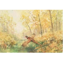 Set Papier Forest