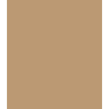 Servietten Airlaid uni 40x40 cm camel