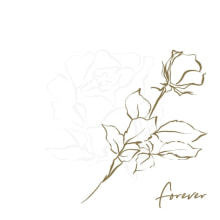 377187 Ti Flair Serviette