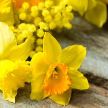 389004 Ti Flair Serviette