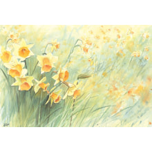 Set Papier Fiesta Spring 