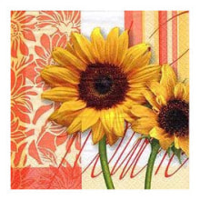 381035 Ti Flair Serviette