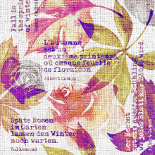 Servietten Airlaid Gunnar 40x40 cm 1/4 Falz