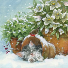 313211 Ti Flair Serviette