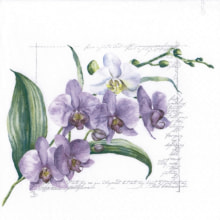 367837 Ti Flair Serviette