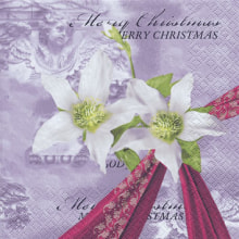 611021 Home Serviette