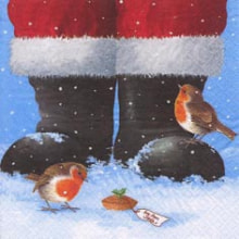 310709 Ti Flair Serviette