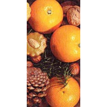 312036-B16 Ti Flair Serviette