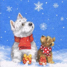 310707 Ti Flair Serviette