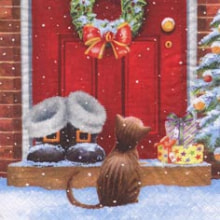 310710 Ti Flair Serviette