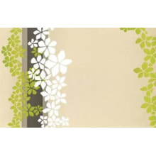 Set Papier Green Zen