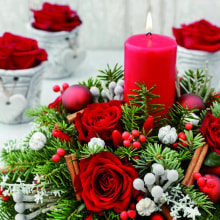 303676 Ti Flair Serviette