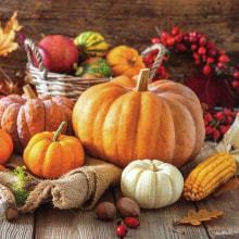 342130 Ti Flair Serviette