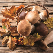 342136 Ti Flair Serviette