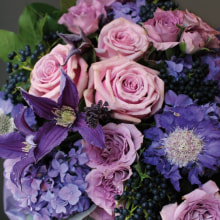 367846 Ti Flair Serviette