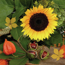 342028 Ti Flair Serviette