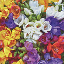 389052 Ti Flair Serviette