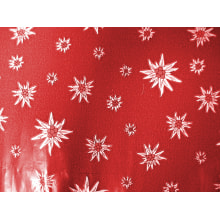 Edelweiss rot