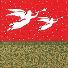 303490 Ti Flair Serviette