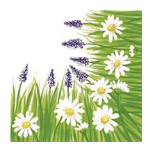 Servietten Airlaid Nele 40x40 cm 1/4 Falz