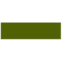 PP-3539-621 matt Olive