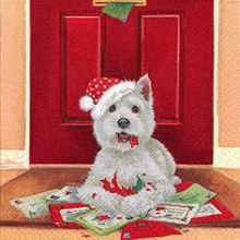 311142 Ti Flair Serviette