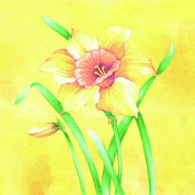 Servietten Airlaid Elvira