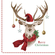 Servietten Airlaid Janosch