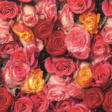 344039 Ti Flair Serviette