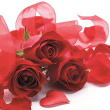 378518 Ti Flair Serviette