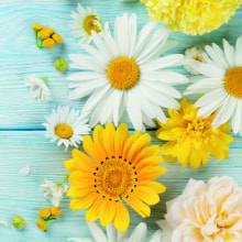 340213 Ti Flair Serviette