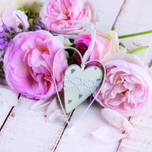 378531 Ti Flair Serviette