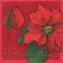 319431 Ti Flair Serviette