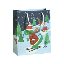 Kordeltasche Winter Dinos 70110 22382