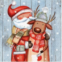 303751 Ti Flair Serviette