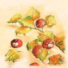 Servietten Airlaid Kastanie 40x40 cm 1/4 Falz