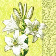 340821 Ti Flair Serviette