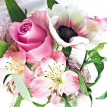 344065 Ti Flair Serviette