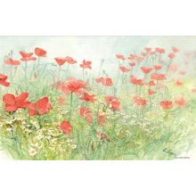 Set Papier Poppies