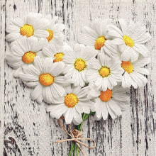 241536 Ti Flair Serviette