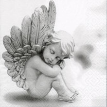 312091 Ti Flair Serviette