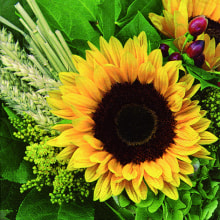 342034 Ti Flair Serviette